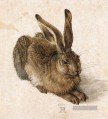 Gemälde ein junger Hase Albrecht Dürer